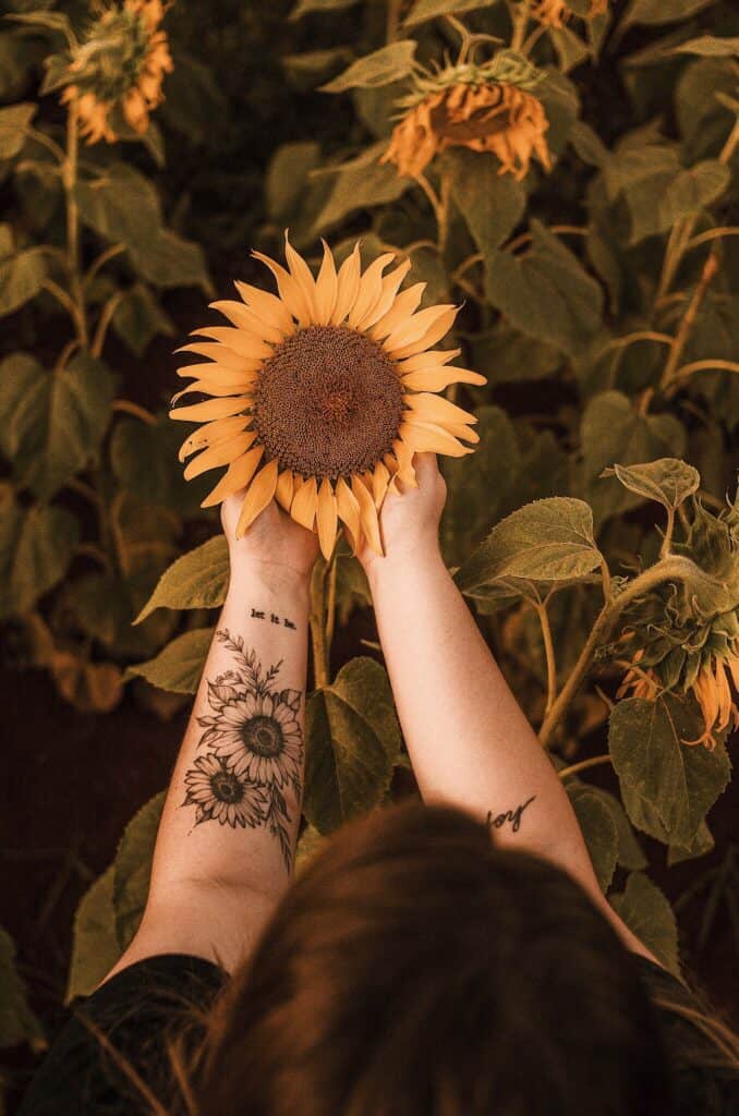 A woman's arms and hands are shown holding a large sunflower. There is a quote and a large flower tattoo on her arm.