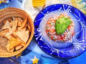 Can Pregnant Women Eat Ceviche Safely? – Journey for Jasmine
