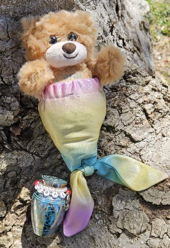A small stuffed bear with the name Coral written on it is wearing a sparkly mermaid tail.